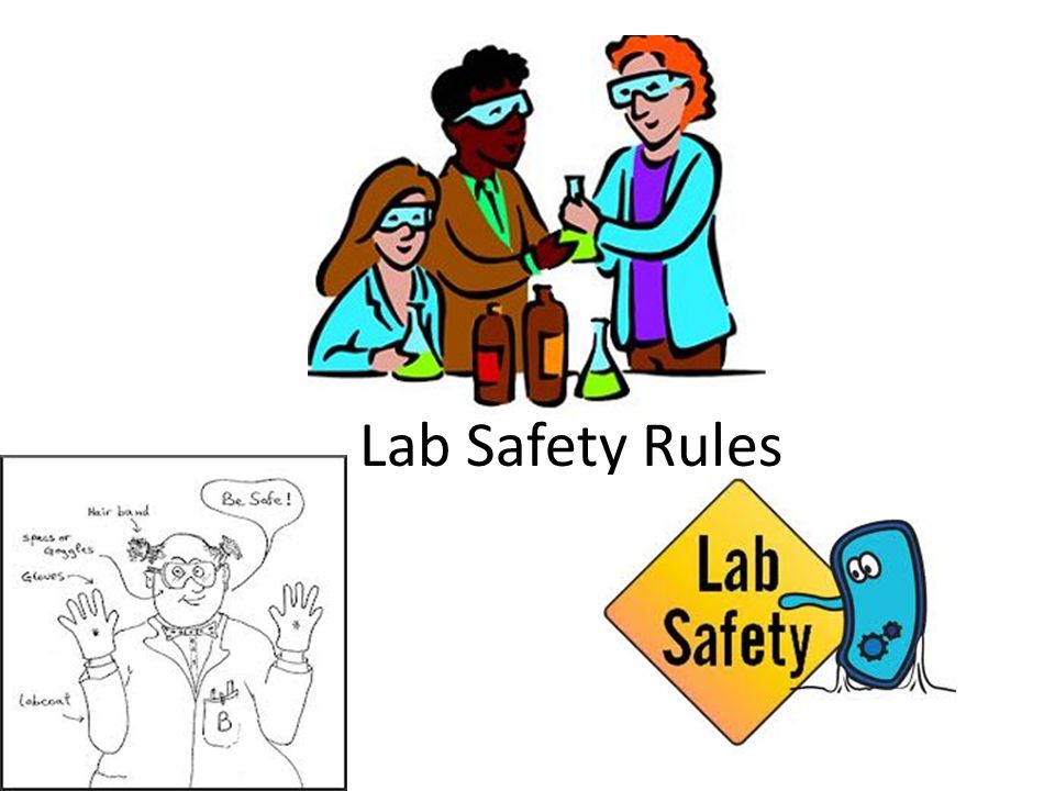 Lab safety rules essay help